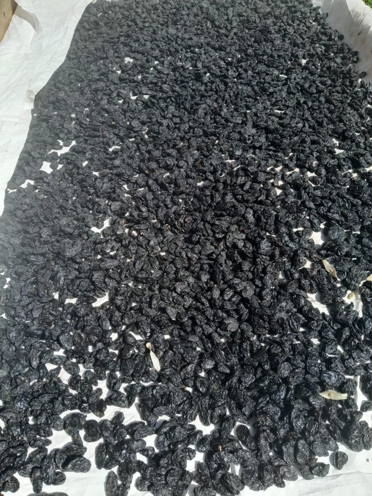 ANTEP KARASI ÜZÜM (250gr)