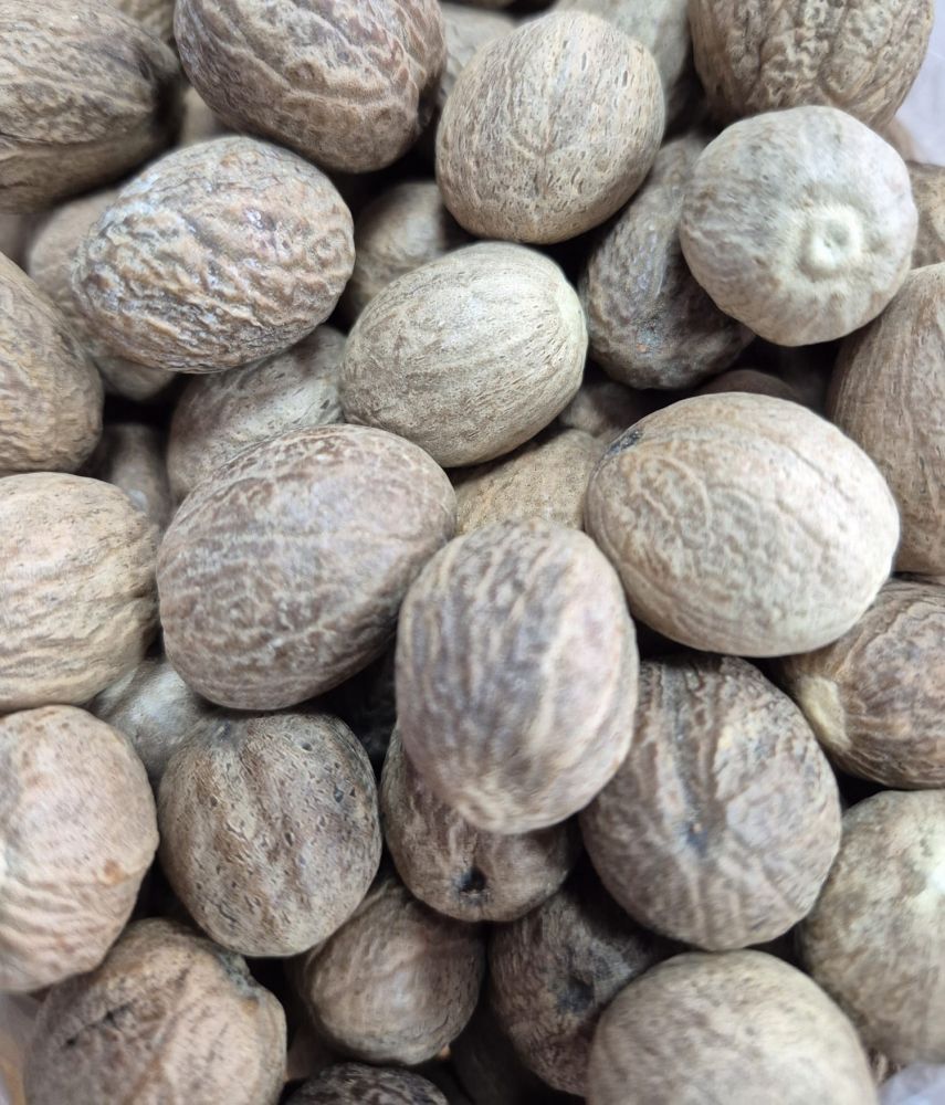 Muskat Tane (100 Gr)