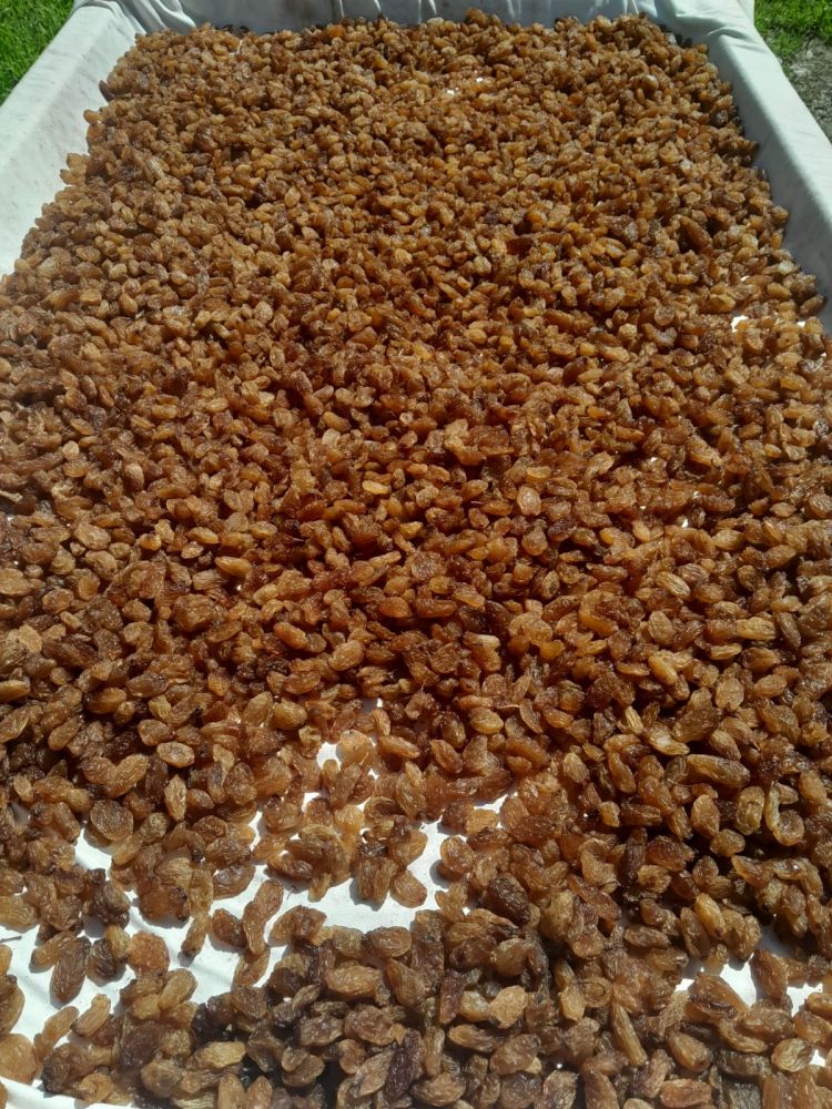 SULTANİYE ÜZÜM (250)GR