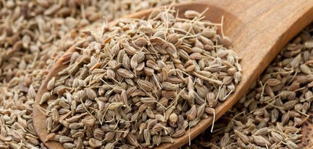 KİMYON (TANE) (250 GR)