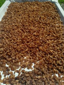 SULTANİYE ÜZÜM (250)GR